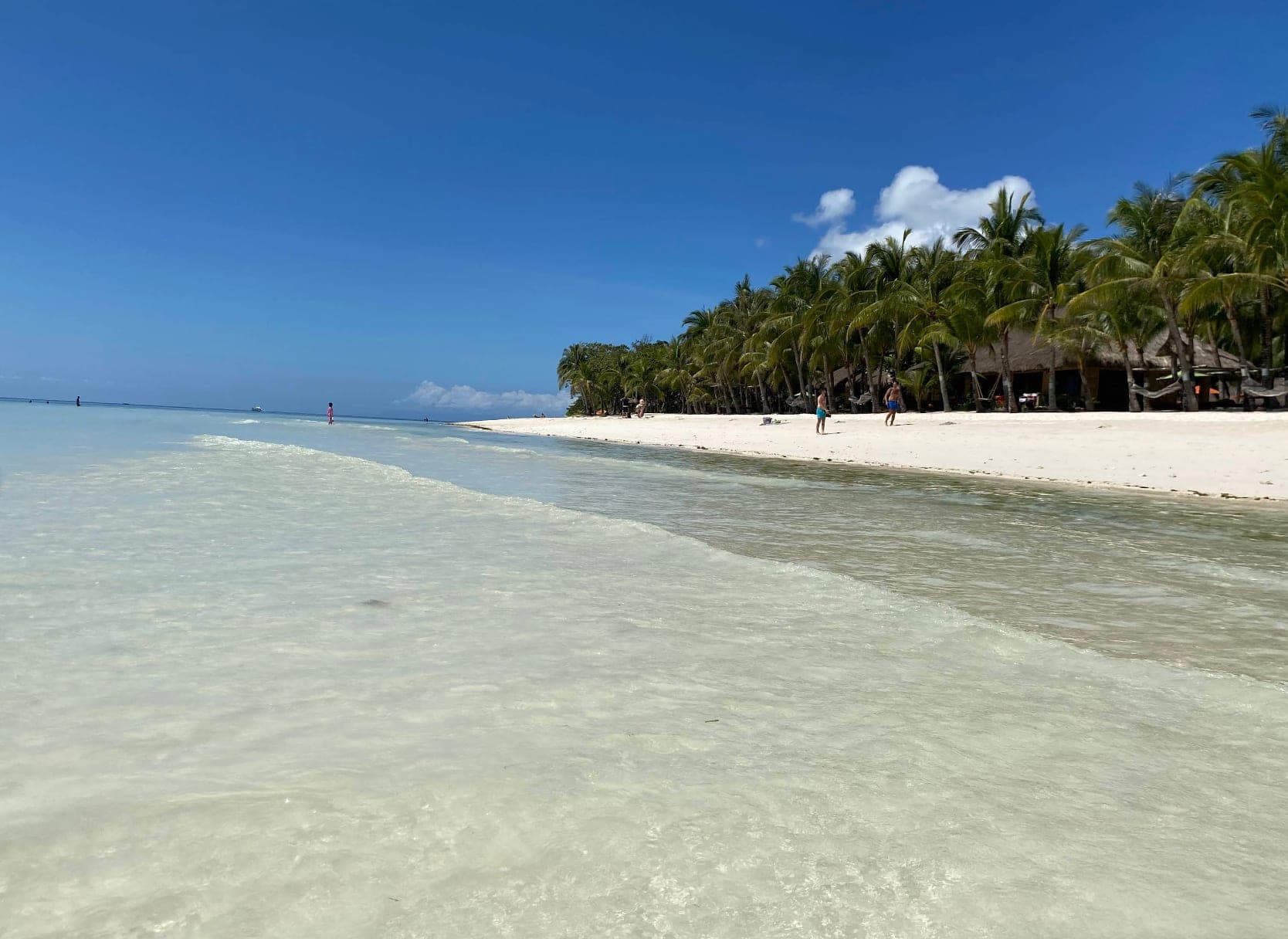 Bohol