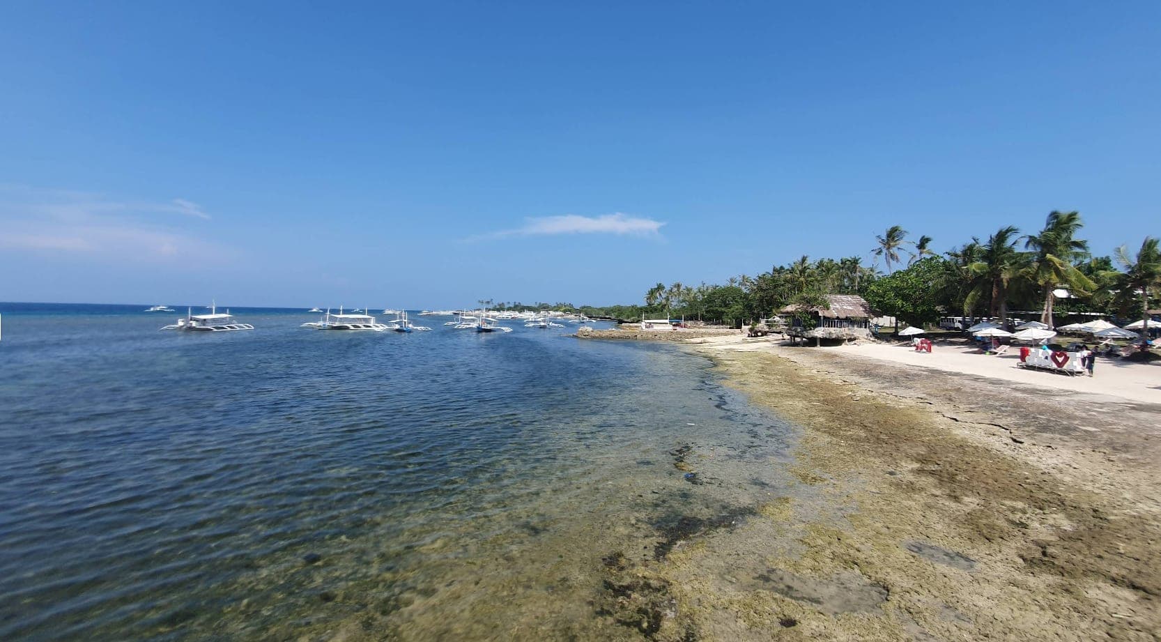 Cebu